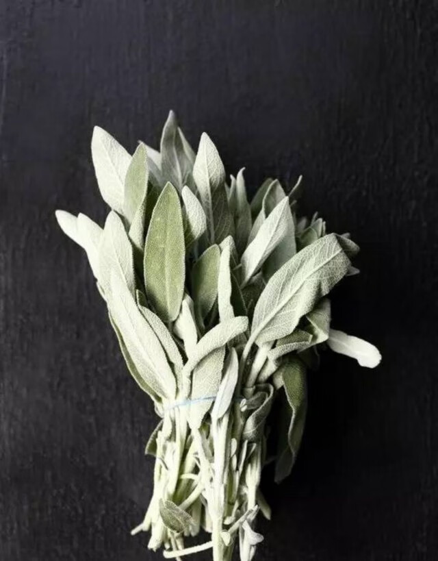 美国进口加州白鼠尾草支架鲍母贝鲍鱼贝贝壳水晶艾草疗愈房间100g鼠尾