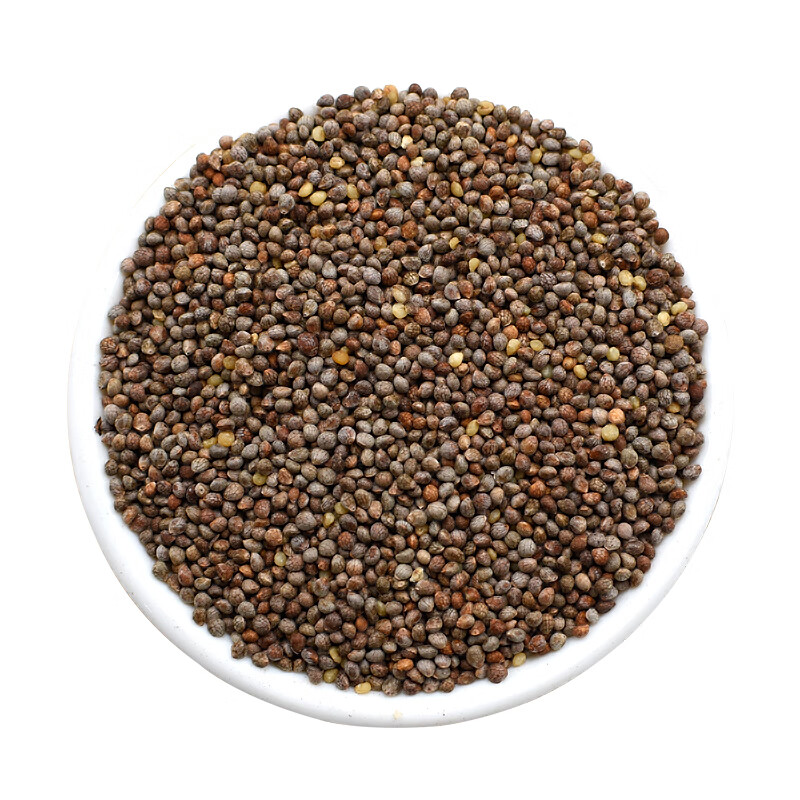 苏子籽500克 苏籽特级纯正紫苏种子调料馅料食用生苏子烧烤料【图片