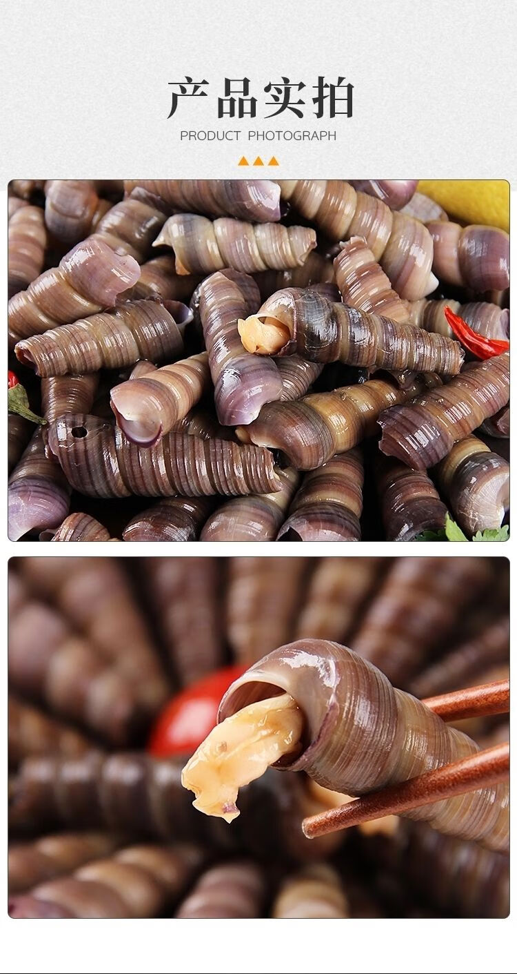 钉螺鲜活去尾免处理新鲜海螺丝钉螺海鲜水产海锥螺丁螺去尾钉螺五斤装
