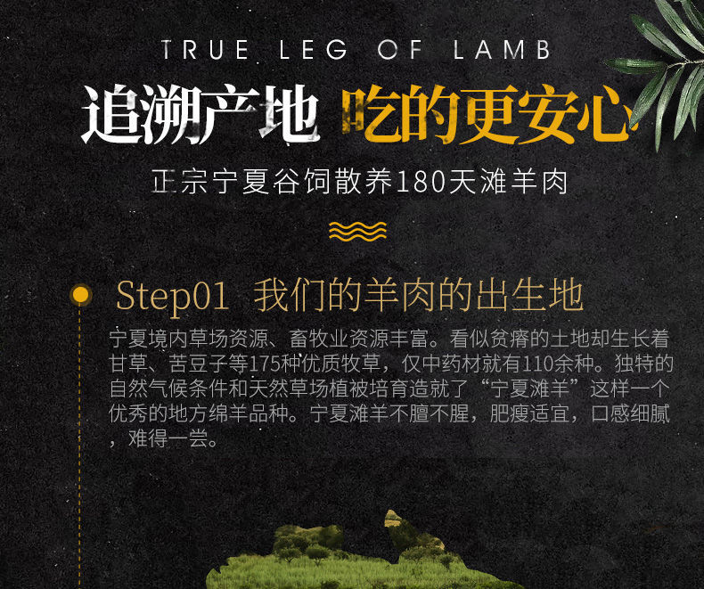 羊肉清真宁夏滩羊后腿肉羊腿新鲜速冻生鲜惟纳德五斤前腿带排