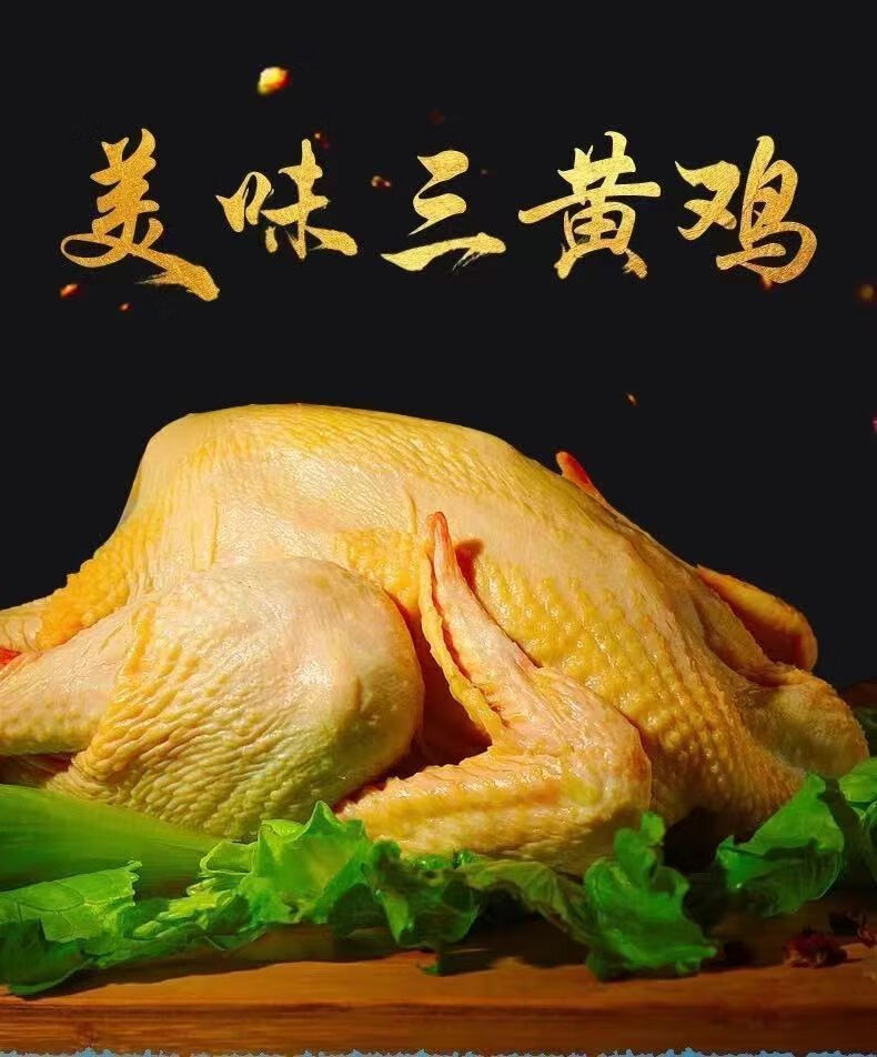 农家散养三黄鸡正宗散养走地童子鸡农家土鸡整鸡生鲜单只2斤