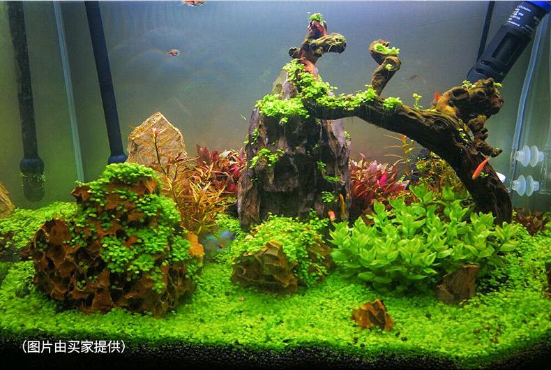 淡水生态鱼缸水草泥水草泥鱼缸造景水草泥免洗生态泥鱼缸底砂泥砂水晶