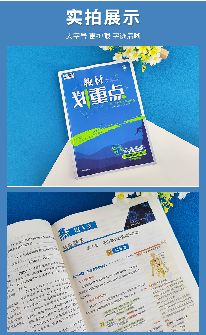 《2023新教材】高中教材劃重點生物選擇性必修1穩態與調節 人教版