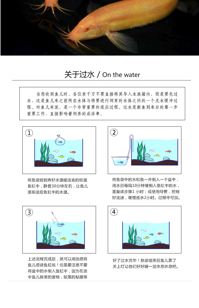 泥鳅养殖条件图片