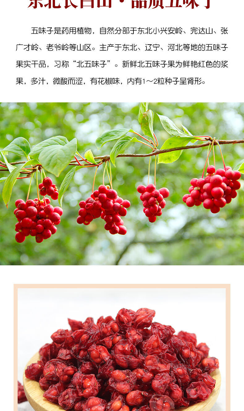 果北五味子颗粒五味子茶中草药泡酒 长白山野生五味子【50g】【图片