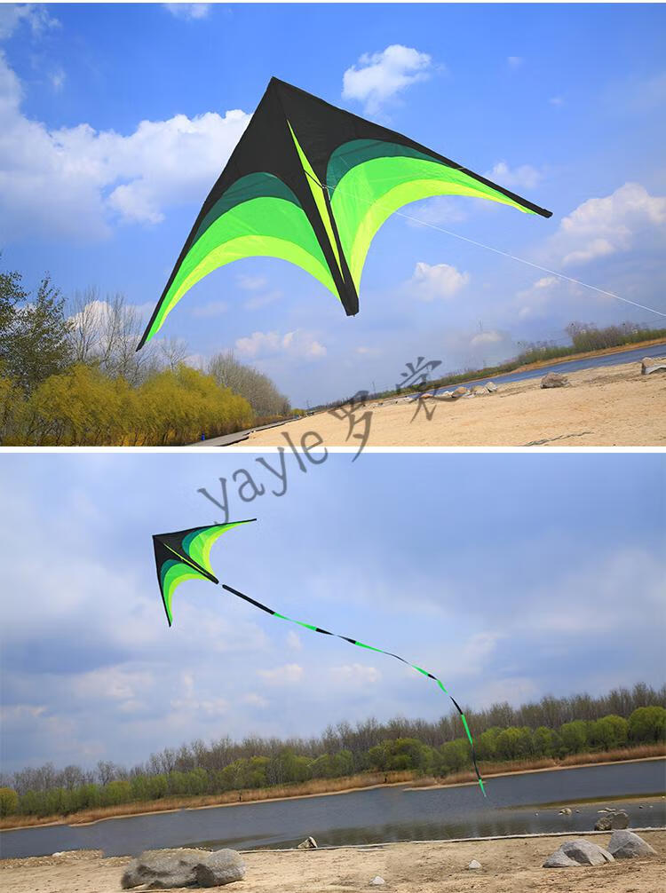 大风筝 风筝大草原大型轮线儿童初学者微风易飞新款长尾风筝 2.