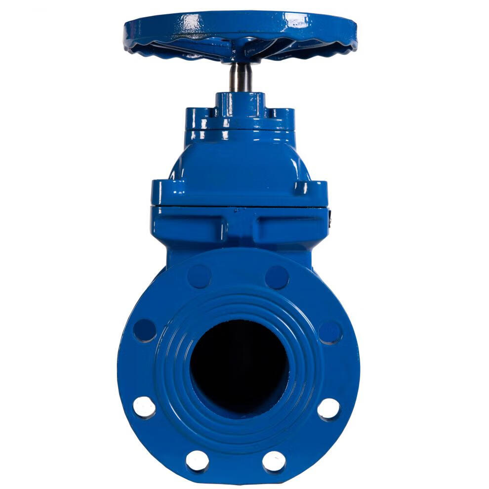 z45x暗杆软密封弹性座封消防污水闸阀好货定制40国标中体