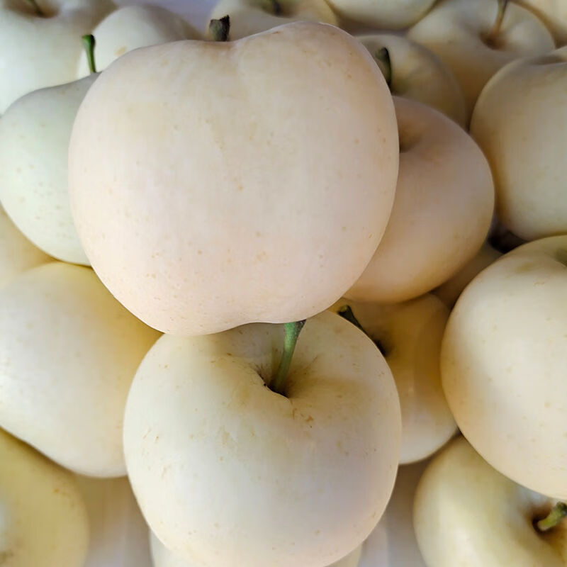 奶油富士苹果水果新鲜牛奶黄金白色冰糖心当季整箱山东烟台带箱910斤