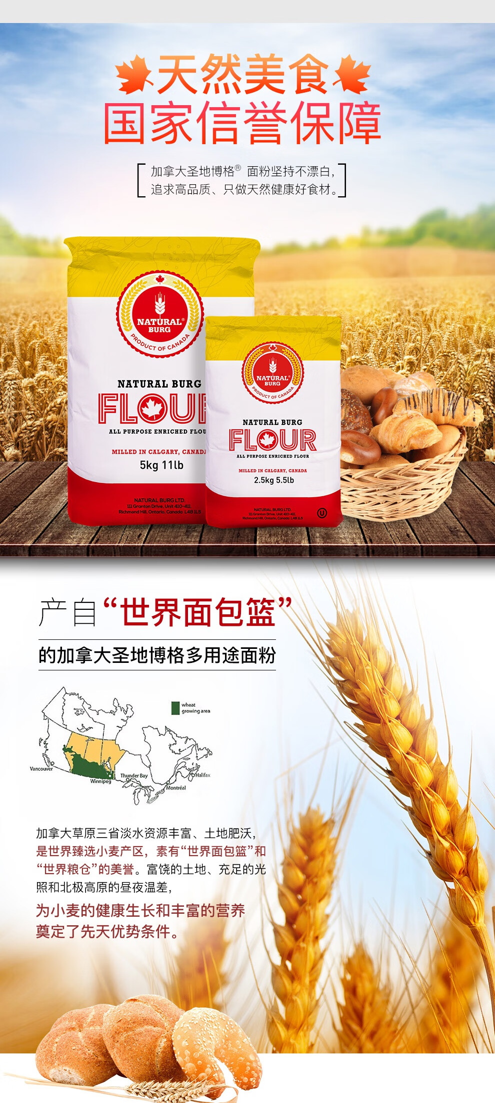 新日期加拿大进口高筋小麦面粉5kg圣地博格吐司披萨面包烘焙保质期