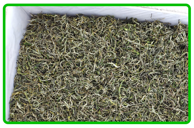 顶济堂 春尖 春尖茶叶甘肃2021年天水定西临夏煮罐罐茶散装500g兰州