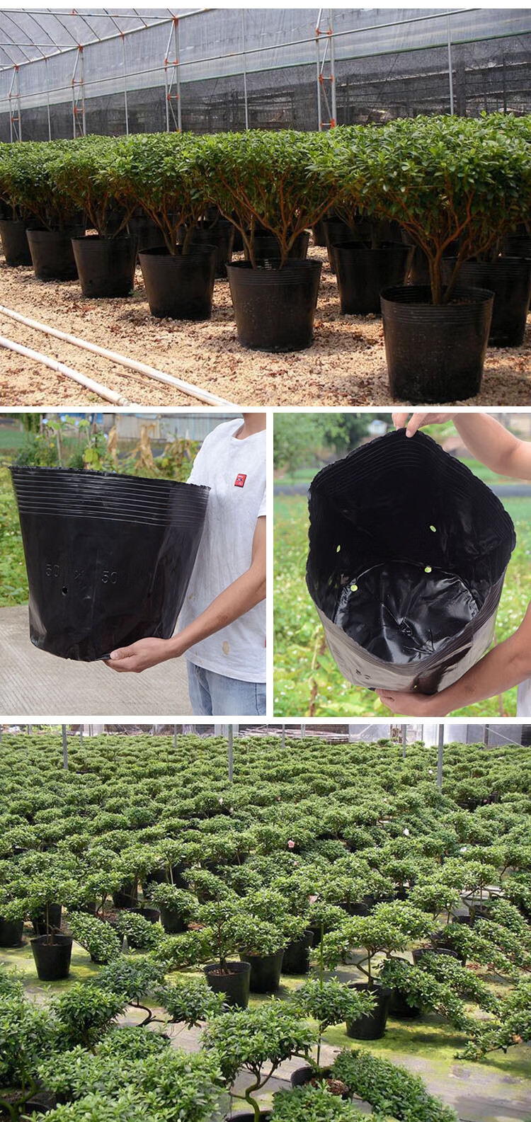 恒日晟营养钵育苗盆种植穴盘塑料营养袋育苗袋一次性花盆营养杯育苗杯