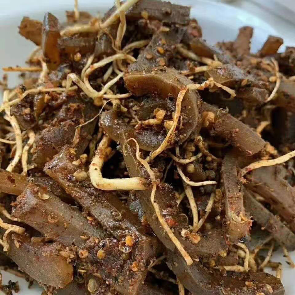 牛皮菜根佤味多规格云南普洱佤味变态辣苤菜根牛皮木姜子菜根抖音快手