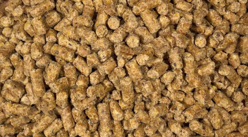 鸡饲料中大鸡肉鸡颗粒全价料钓鱼野钓打窝催肥促生长鸭鹅 正大511肉中