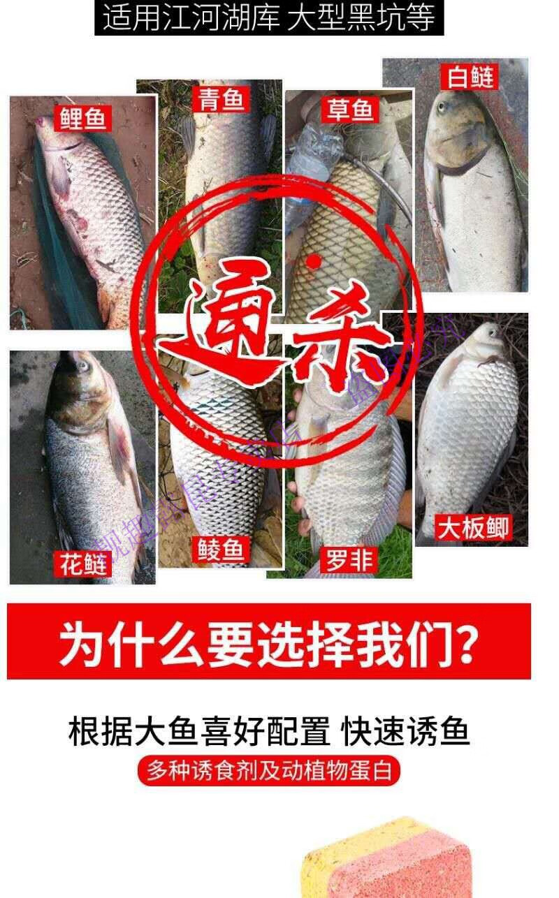 恭喜猴 恭喜猴方塊餌料通殺魚野釣海竿拋竿餌餅鰱鱅青魚鯉魚翹嘴翻板