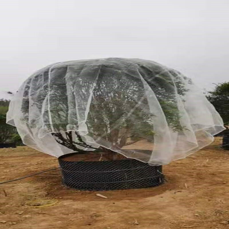 新型防鸟用网双层 樱桃树 樱桃苗防鸟网 果园防鸟网赶鸟神器防鸟防虫