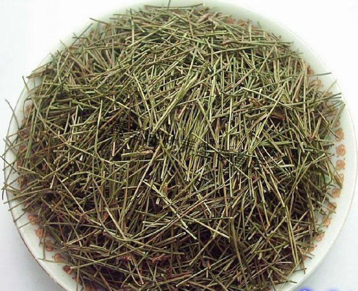 官方中藥材松針松針茶全松茶馬尾松針松樹針葉幹500g