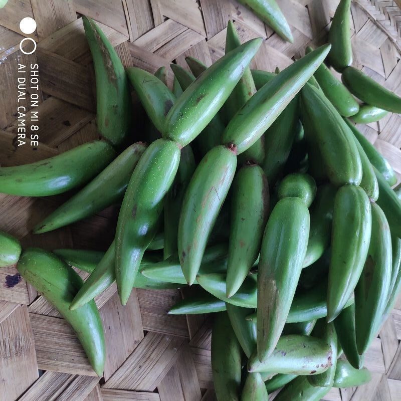 新鲜羊排果云南西双版纳特色酸果牛角果傣哈尼布朗野生酸果送辣子新鲜