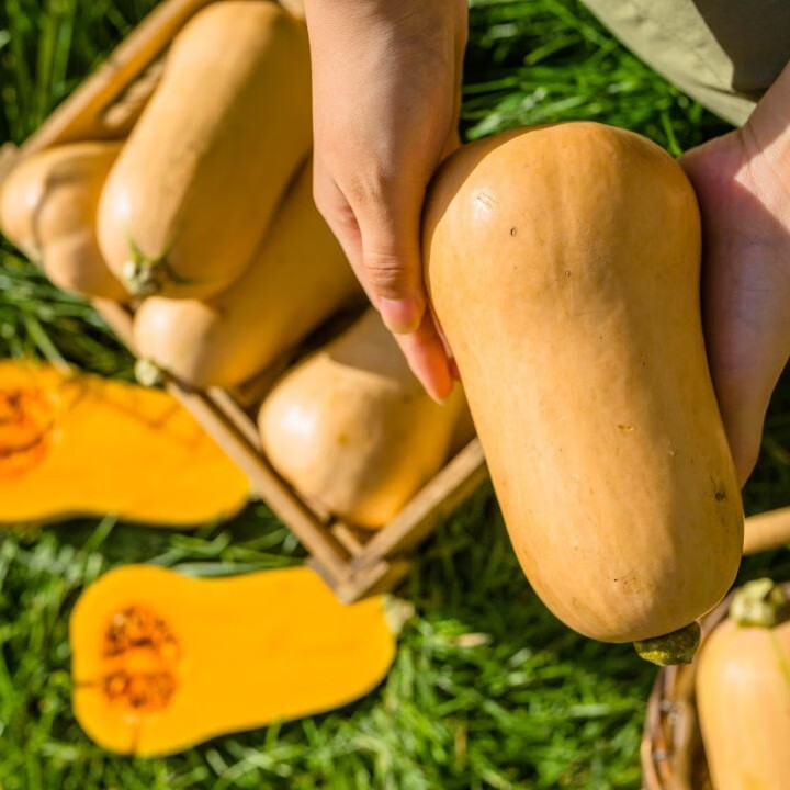 奶油南瓜新鲜采摘现摘现发甜糯口感孕妇5斤/9斤 8.