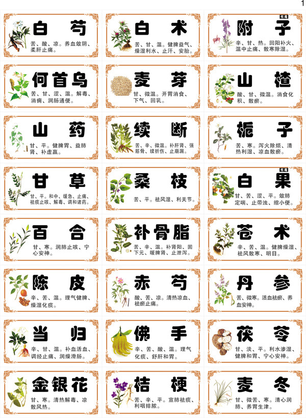 不干胶小规格中药标签常用中药字药名贴纸斗谱 384味 目录 24贴空白