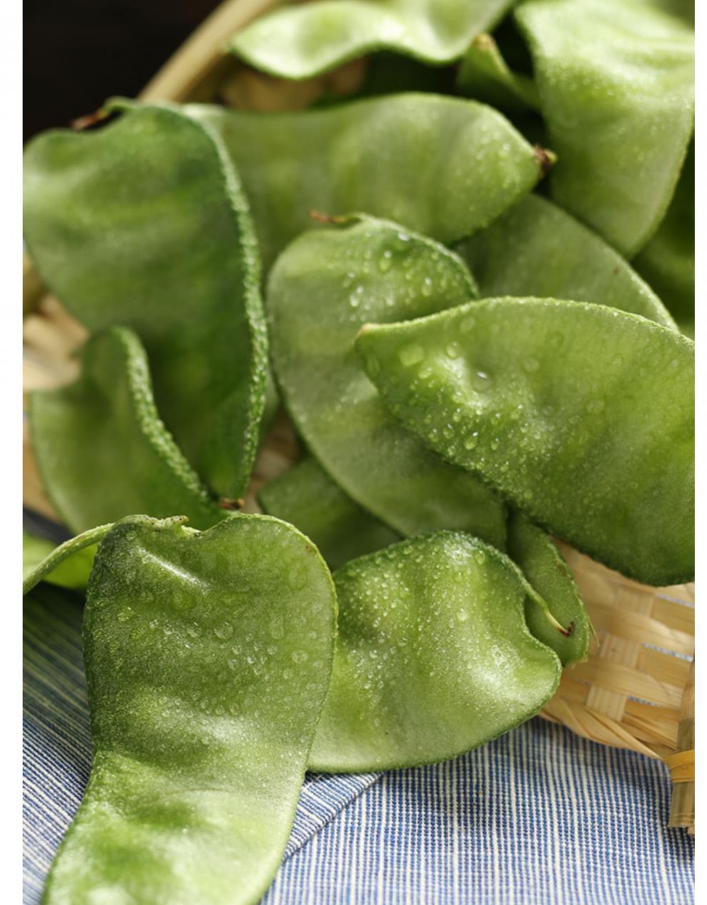 东北气豆角 片刀农家扁豆绿眉梅豆汽豆猪耳朵新鲜蔬菜 5斤