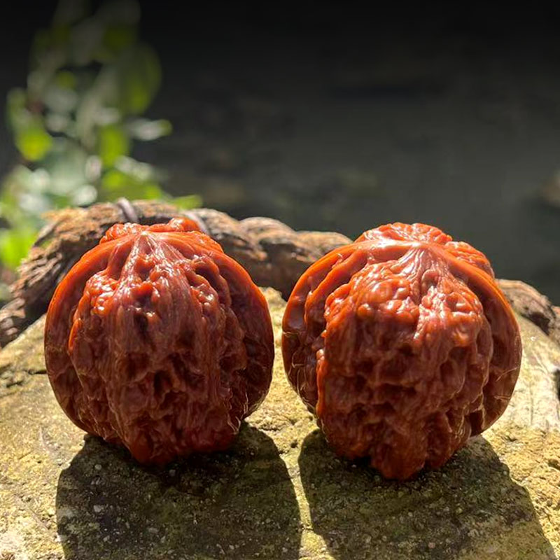 文玩核桃 小众品种 蛤蟆头大粗筋将军膀三棱平谷元宝野生古玩麻核桃盘