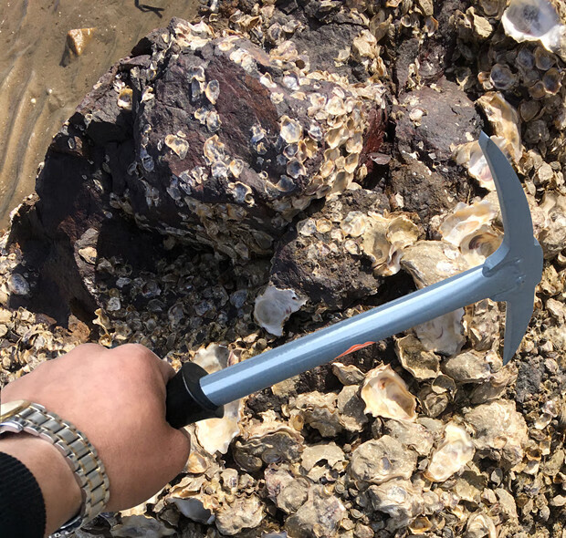 优友不锈钢蛤蜊耙子沙滩挖蛤海鲜蛏子蚬子螺神器赶海工具海蛎子钩套装