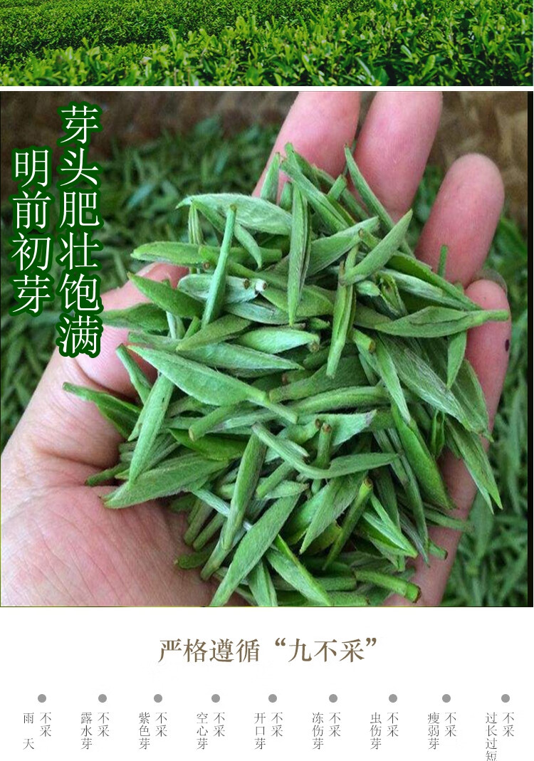 5折 萃隐岳阳君山银针特级2021新茶明前尊品银针湖南茶叶258克礼盒装