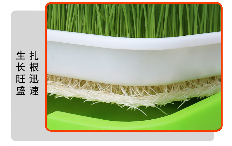 芽苗菜育苗盘豆芽发芽育苗盆托盘杯豆苗种植神器芽菜小麦种子蔬菜 1套