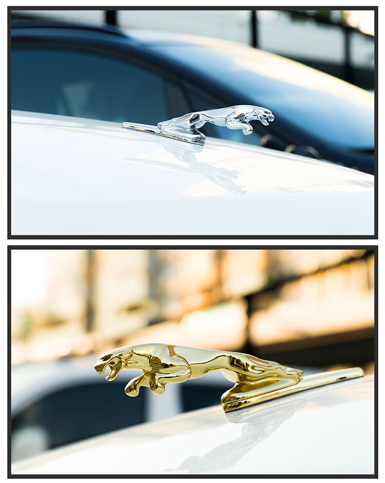 适用于捷豹车标立标立体金属标xjlxflxfxjxel改装机盖车头标原车金色