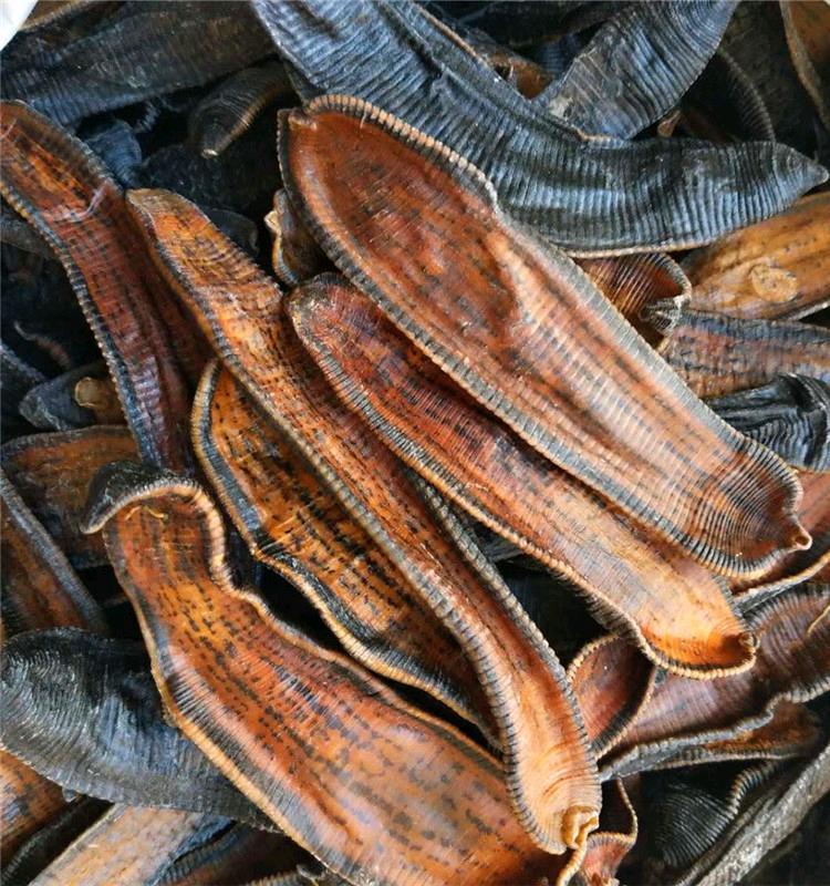 中药材水蛭蚂蝗干500克清水宽体金线吊杆水蛭麻黄干品干货