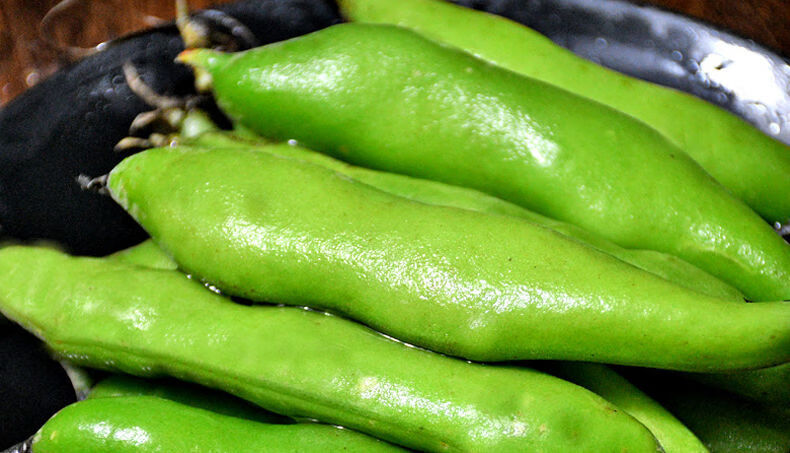 2022年新鲜蚕豆带壳大青蚕豆嫩胡豆四川本地当季现摘蔬菜豆荚云南5斤