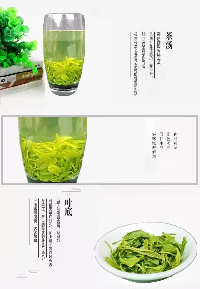 陕西商南绿茶 秦鹿牌高山绿茶炒青春茶【豆乐奇 250g 250g 250g