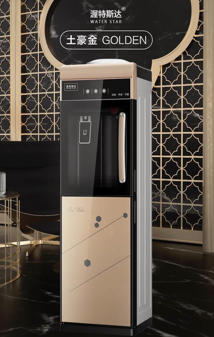 制冷饮水机冰水冷热两用饮水机家用立式冰温热办公室制冷制热加热普通