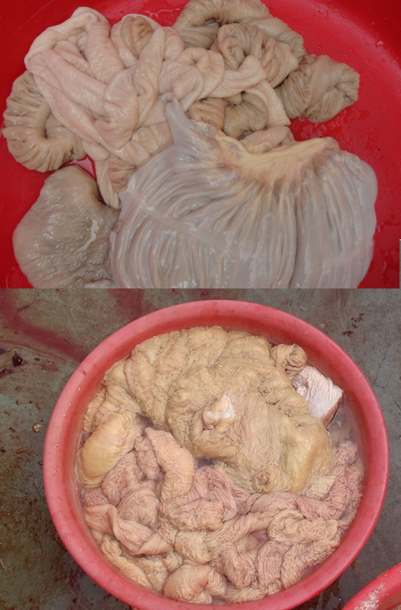 新鲜驴肠新鲜驴板肠驴杂驴大肠 驴肠子驴肚子驴下货鲜现宰真空驴肉 3