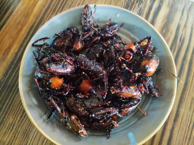 竹象虫 山珍美味烧烤美食小吃400克 云南特产竹虫 竹笋虫香脆 400克