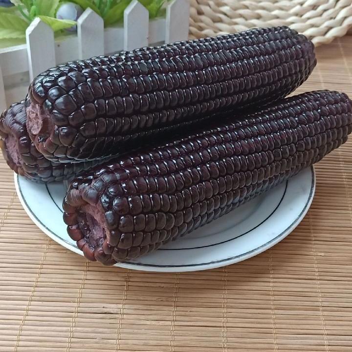 山西忻州特产甜糯黑玉米真空装新鲜加热即食粗粮粘黏苞米黑玉米220克5