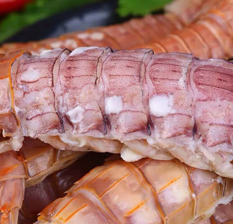 皮皮虾鲜活熟冻虾爬子带膏黄虾姑爬爬虾全母琵琶虾海鲜水产克雷蒙