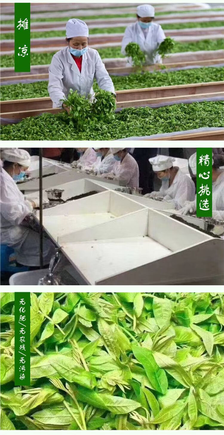 10e6ee6f2e3aeb8e.jpg