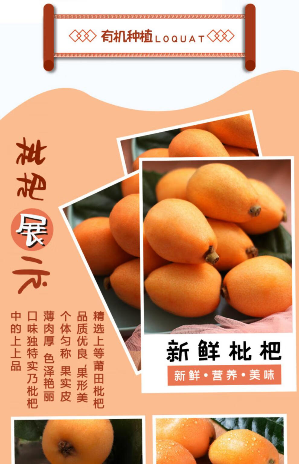 顺丰莆田书峰枇杷福建早钟枇杷果琶琵水果枇杷孕妇新鲜水果解放钟高山