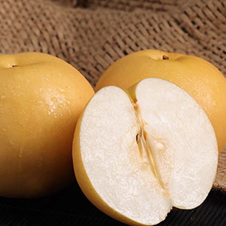 正宗丰水梨黄皮梨脆甜多汁子薄皮梨绿色水果新鲜现摘冰糖梨 5斤大果