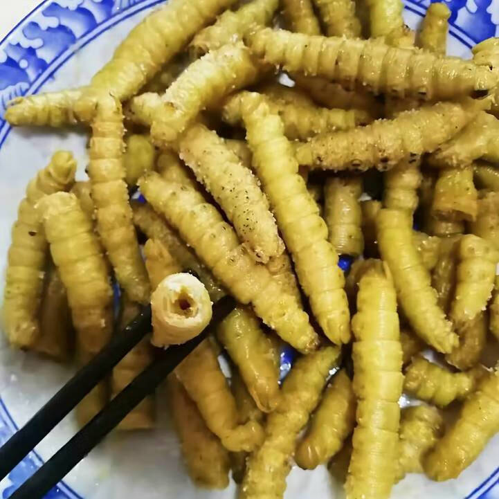 山东大豆虫豆虫蛹豆虫活体豆虫大豆虫油炸豆丹山东豆虫4斤保温箱装