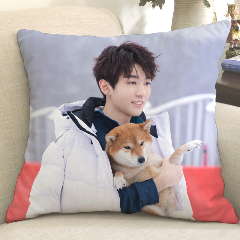 王俊凯抱枕tfs王俊凯周边三字弟弟定制抱枕电竞男主海报玩偶生日礼物6