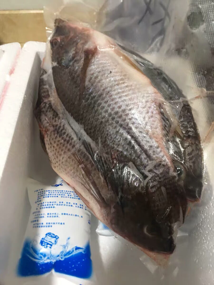 罗鱼新鲜鲜活现杀冷冻罗飞脆肉腌制福寿鱼 3-4条(总重1.8-2.