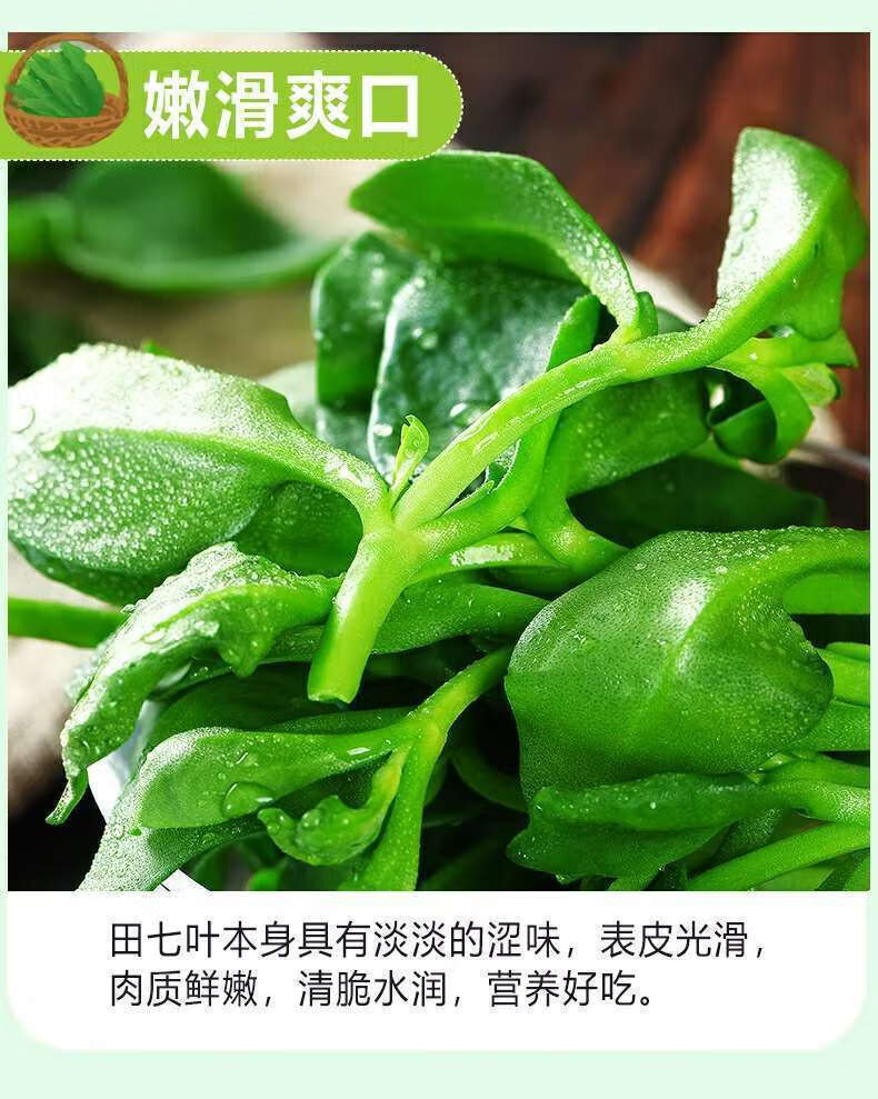 叶菜田七菜穿心莲菜绿叶菜凉拌沙拉菜青菜农家菜现采 4斤(实惠)【图片