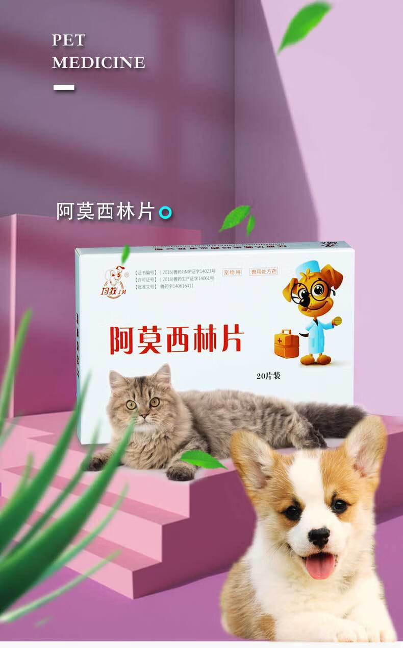 宠物药品狗狗猫咪药尿路感染阿莫西林片口炎猫支鼻治疗片10盒