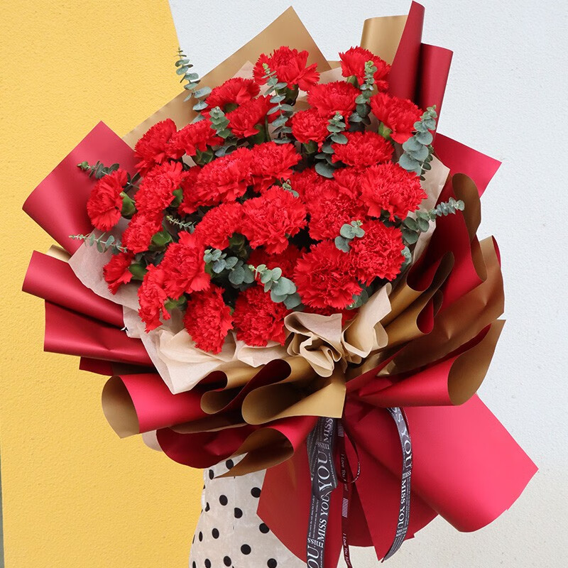 钰尚 鲜花速递红色康乃馨鲜花花束礼盒百合混搭送妈妈岳母长辈探望