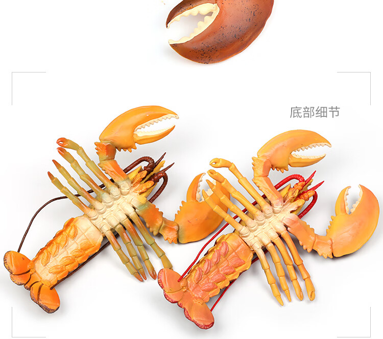 仿真动物海鲜模型塑料大号小龙虾玩具小波士顿龙虾螃蟹澳洲海洋早教