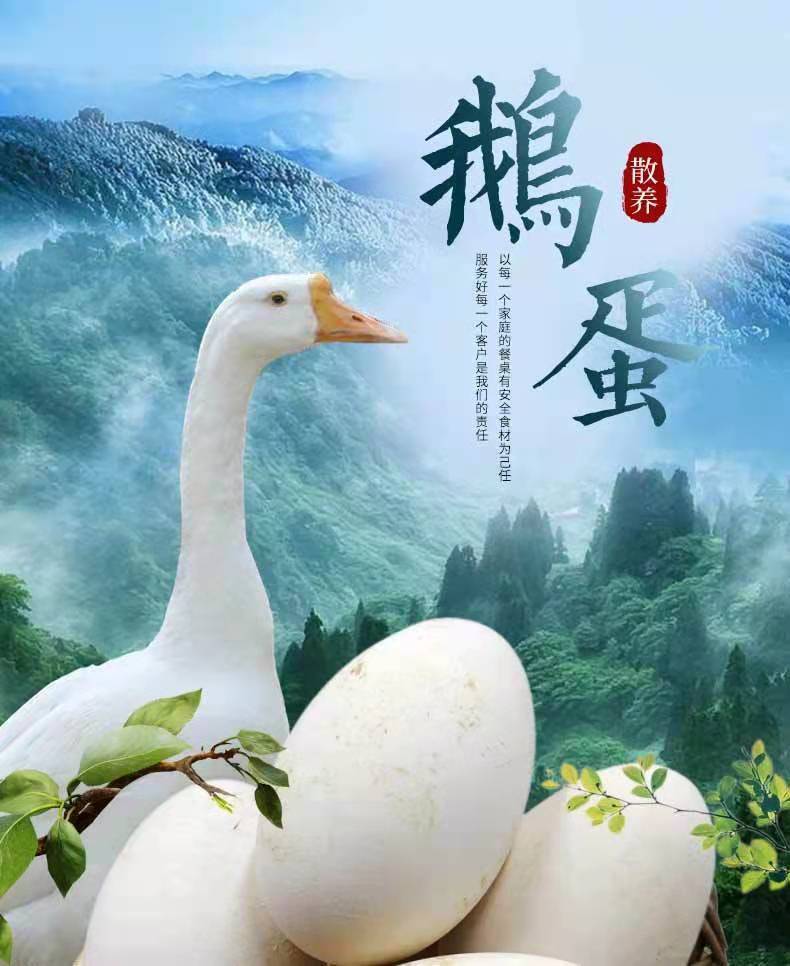 破损包赔正宗土鹅蛋新鲜特大双蛋批发胎毒现捡现发12枚装双黄鹅蛋1201