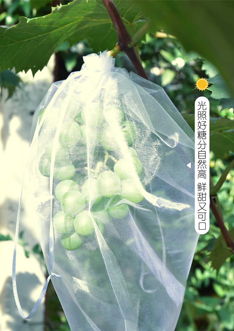 yuanyiba水果套袋果树防鸟防虫专用网袋葡萄无花果番石榴苹果桃子梨子