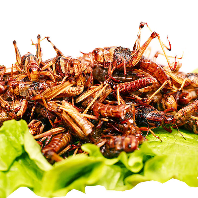 即食去翅膀蝗虫麻辣椒盐零食小吃昆虫美食蚂蚱新鲜山东特产 椒盐鲜虾